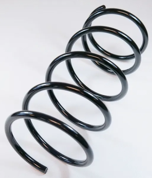 Suspension Spring (66346)