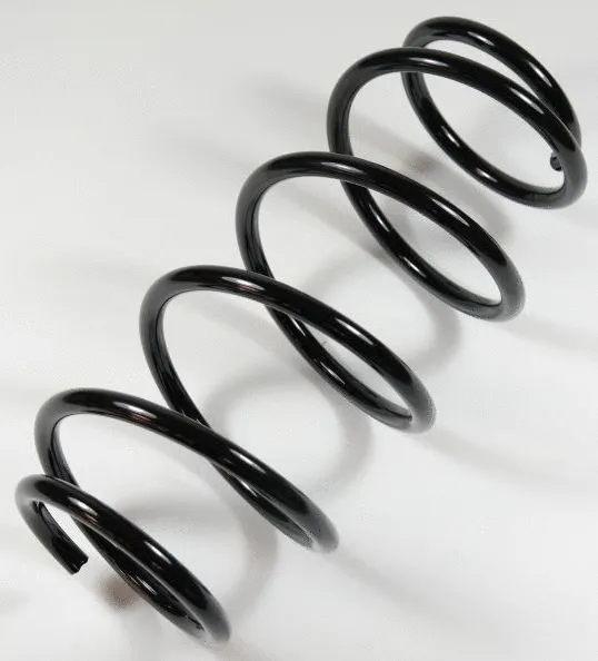 Suspension Spring (66751)