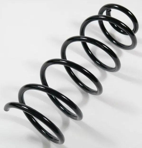 Suspension Spring (61541)
