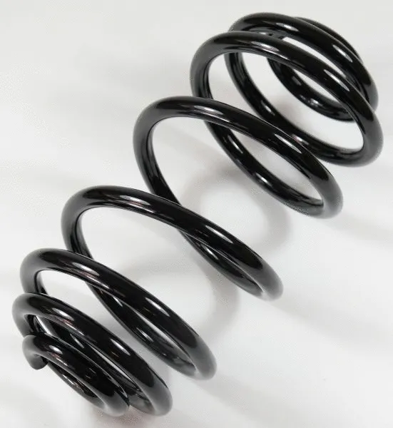 Suspension Spring (67250)