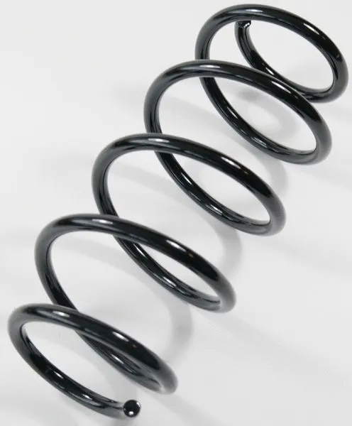 Suspension Spring (67465)