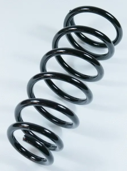 Suspension Spring (63868)