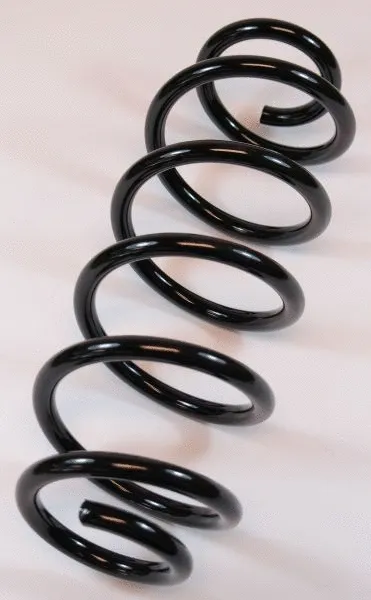 Suspension Spring (63488)