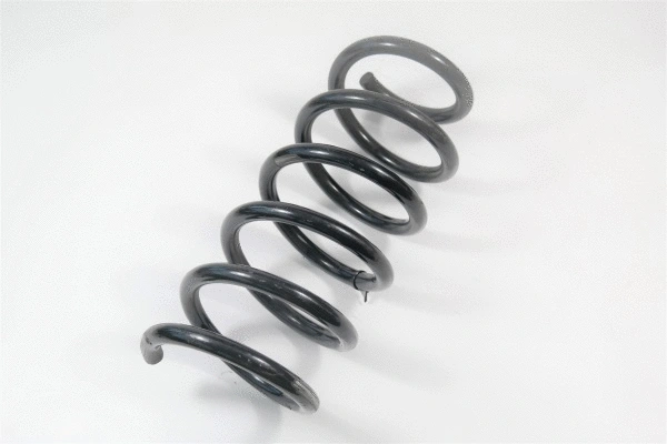 Suspension Spring (58710)
