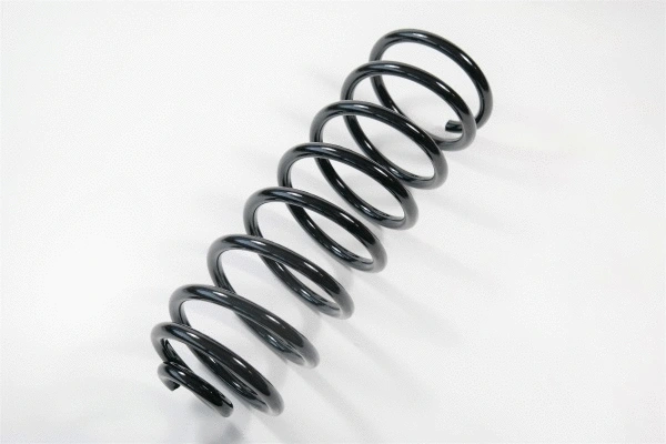Suspension Spring (66854)