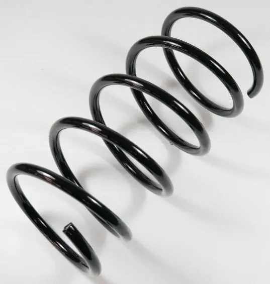 Suspension Spring (65872)