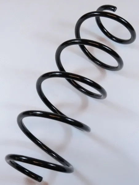 Suspension Spring (66813)