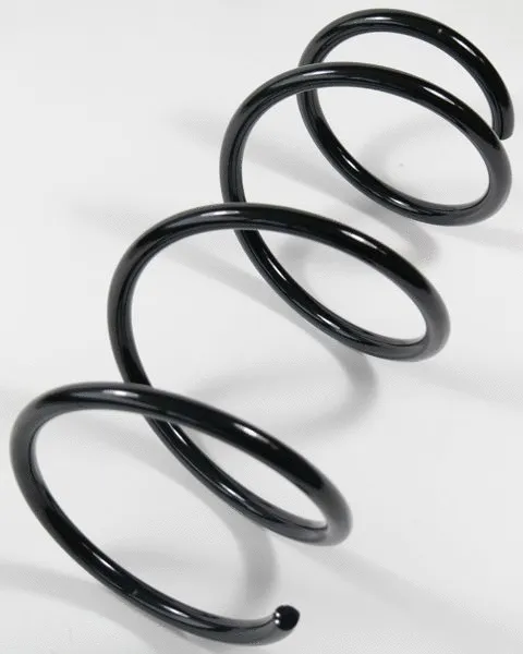 Suspension Spring (64622)