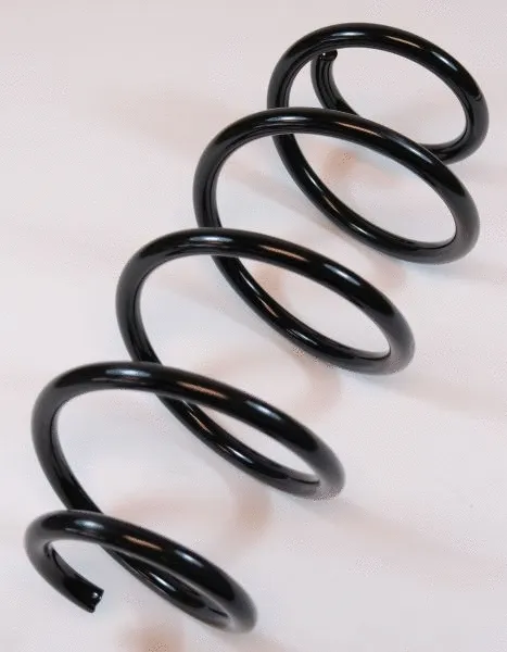 Suspension Spring (64187)