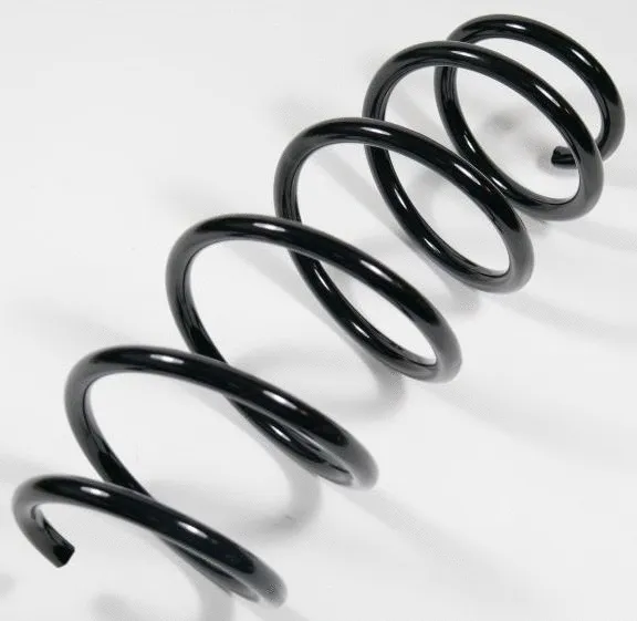 Suspension Spring (67222)