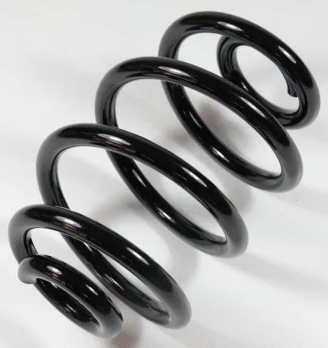 Suspension Spring (66696)