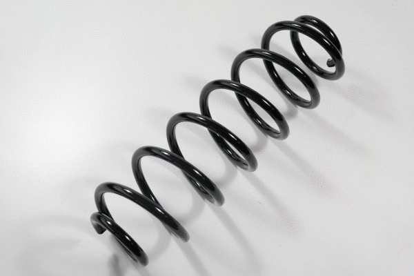 Suspension Spring (67010)