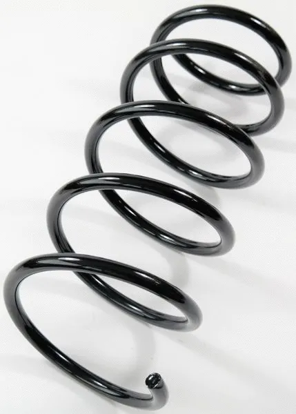 Suspension Spring (66710)