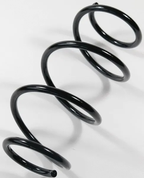 Suspension Spring (67178)