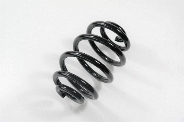 Suspension Spring (63611)