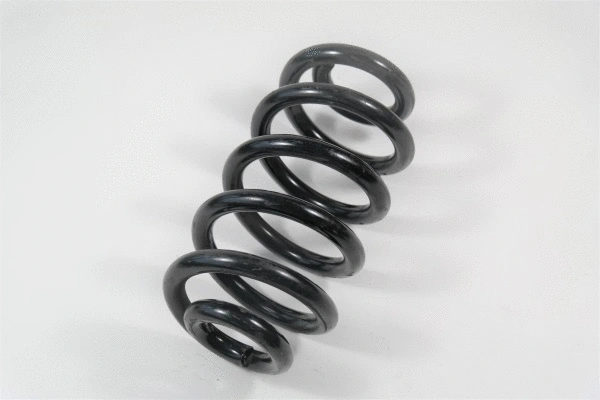 Suspension Spring (67229)