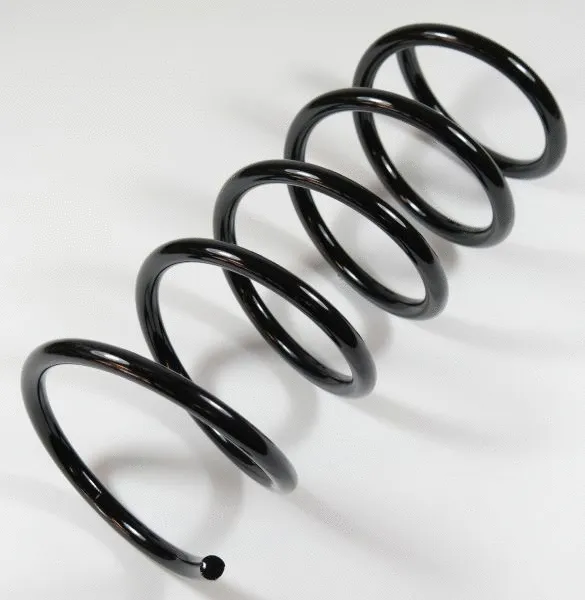 Suspension Spring (64008)