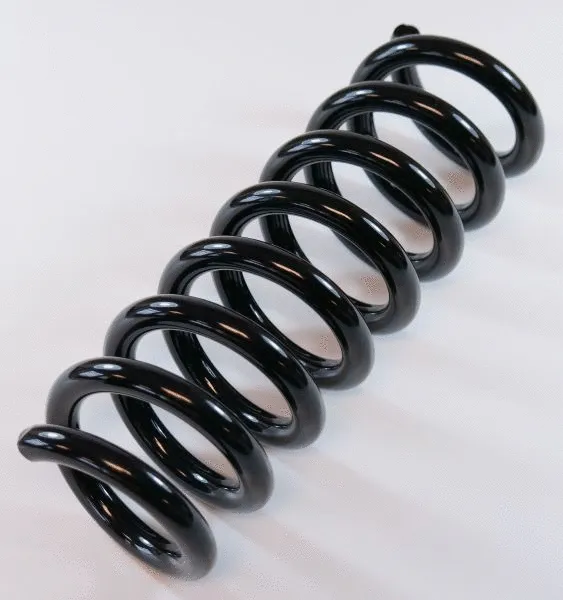 Suspension Spring (63810)