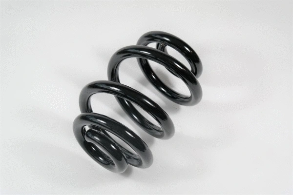 Suspension Spring (58746)