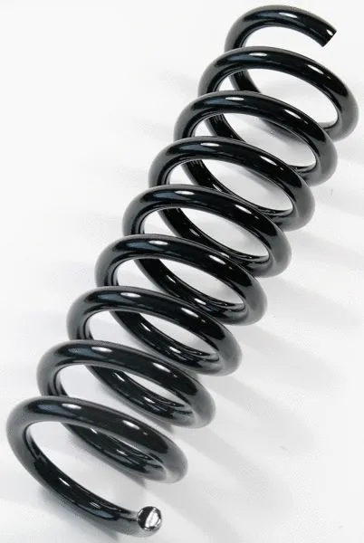 Suspension Spring (66946)