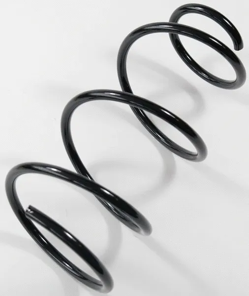 Suspension Spring (62969)