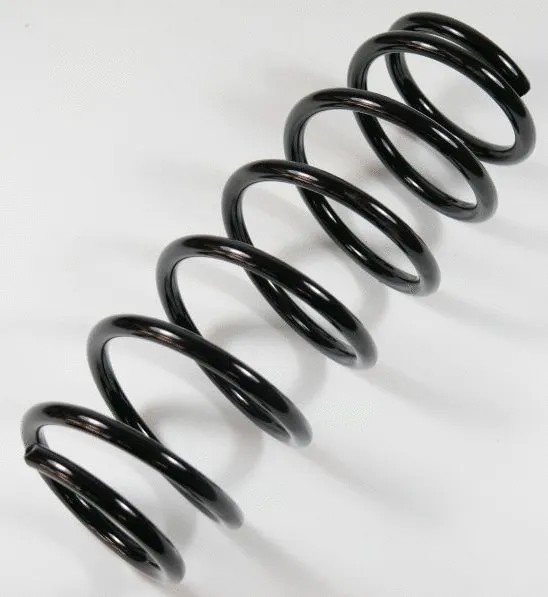 Suspension Spring (64420)