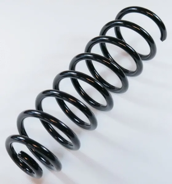 Suspension Spring (66513)
