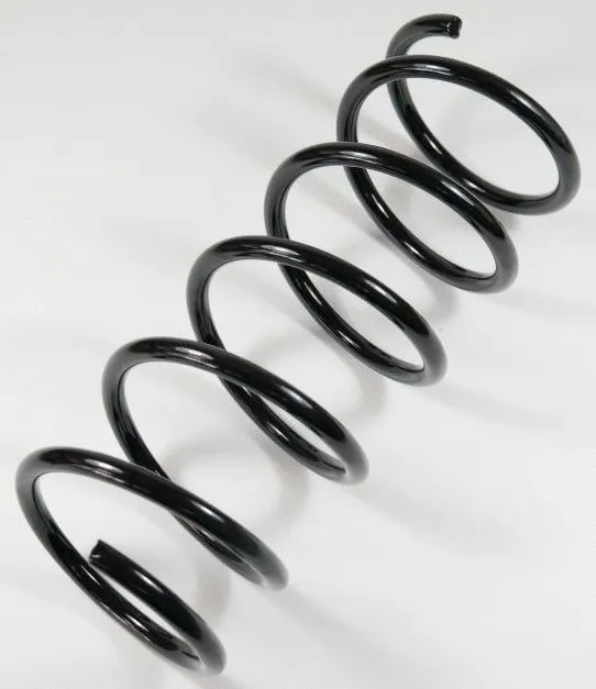 Suspension Spring (63927)