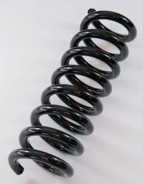 Suspension Spring (63811)