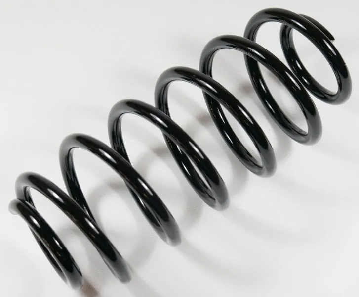 Suspension Spring (62730)