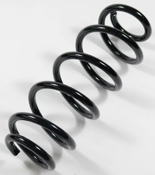 Suspension Spring (64115)