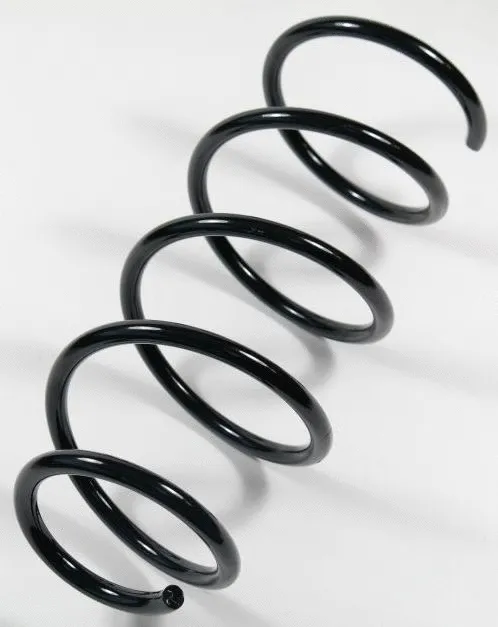 Suspension Spring (58720)
