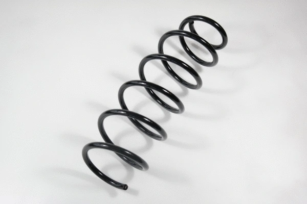 Suspension Spring (66883)