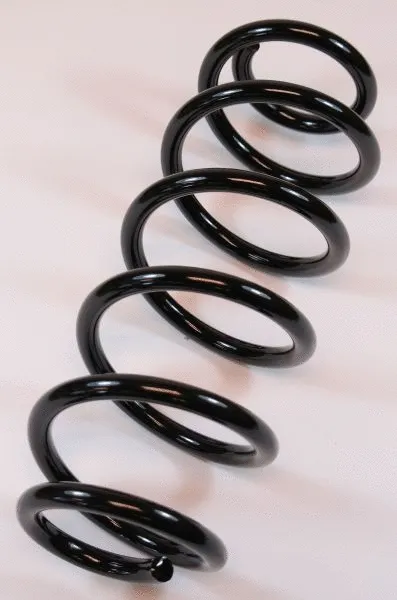 Suspension Spring (66934)