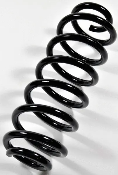 Suspension Spring (67337)