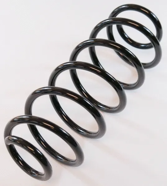 Suspension Spring (62944)
