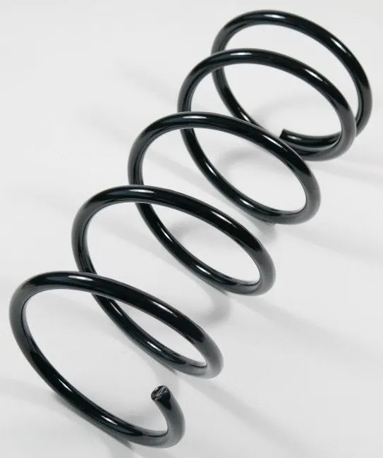 Suspension Spring (64419)