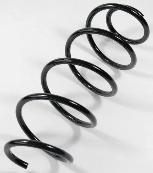 Suspension Spring (58726)