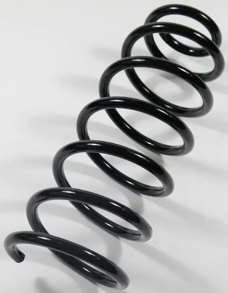 Suspension Spring (62871)