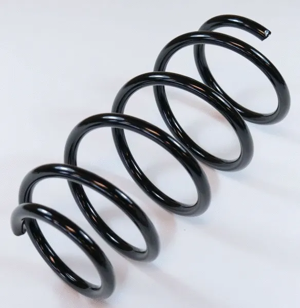 Suspension Spring (67224)