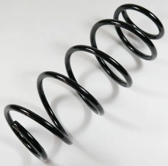 Suspension Spring (64036)