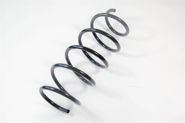 Suspension Spring (58991)