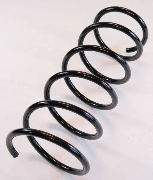 Suspension Spring (63741)