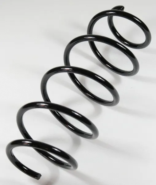 Suspension Spring (66784)