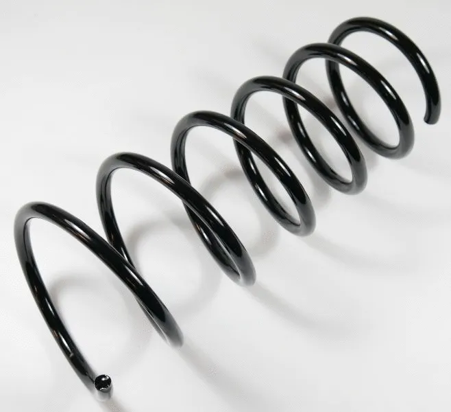 Suspension Spring (67184)