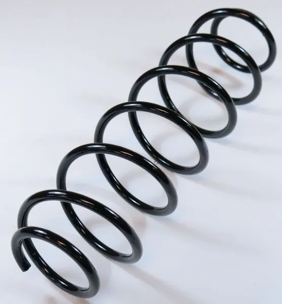 Suspension Spring (62908)