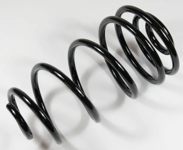 Suspension Spring (67172)