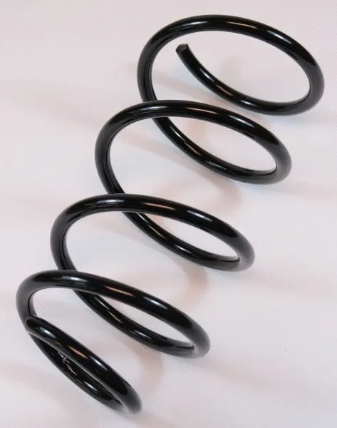 Suspension Spring (64134)