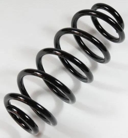 Suspension Spring (67482)