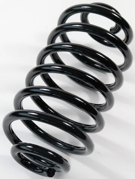 Suspension Spring (66791)